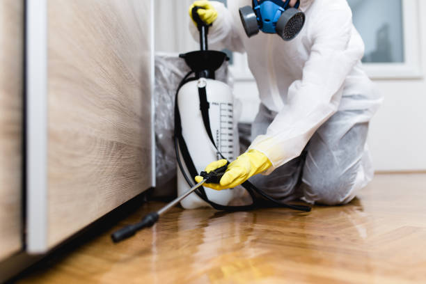 Best Emergency Pest Control  in Victory Gardens, NJ