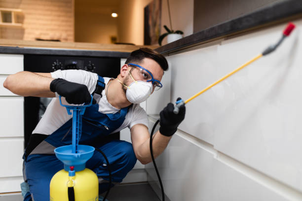 Best Local Pest Control Services  in Victory Gardens, NJ