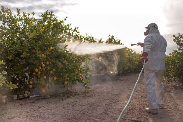 Pest Prevention Services in Victory Gardens, NJ